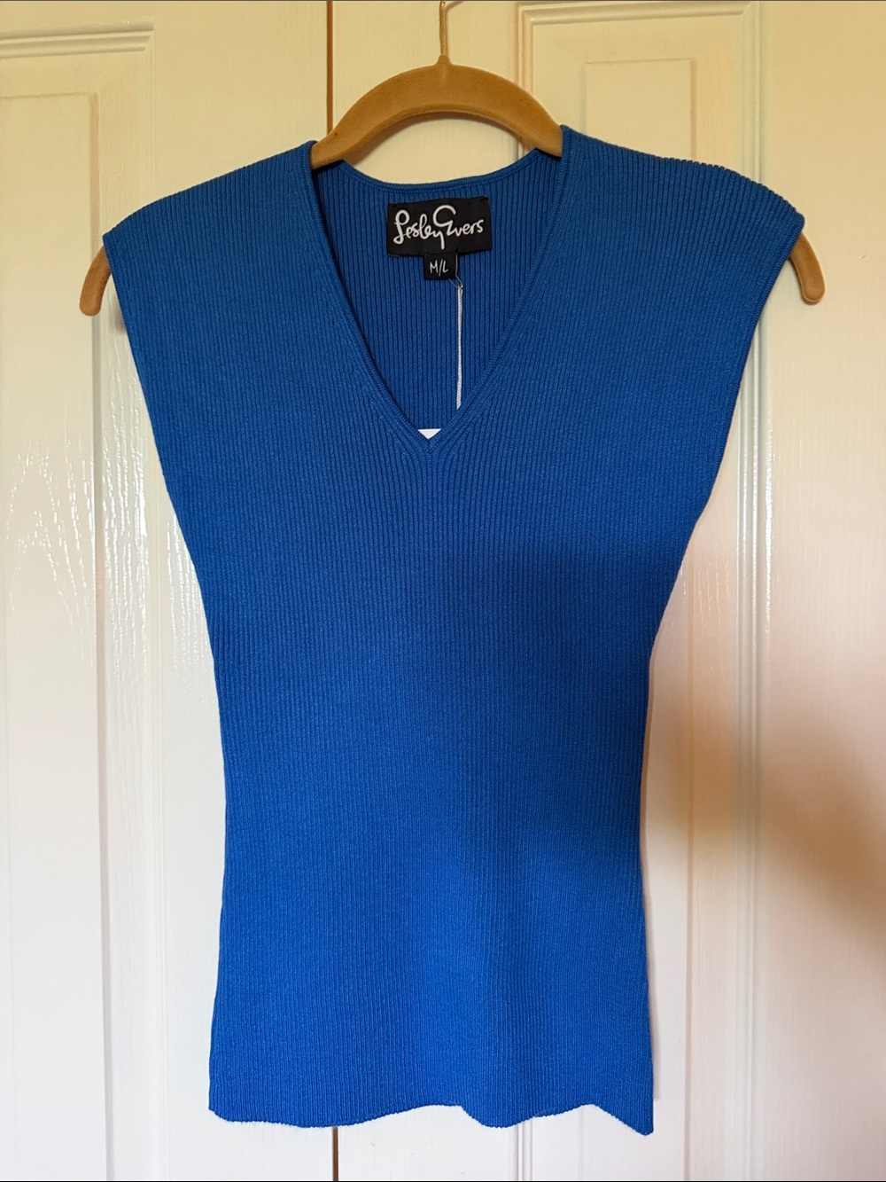 SosbyIvers Blue Ribbed V-Neck Sleeveless Tank